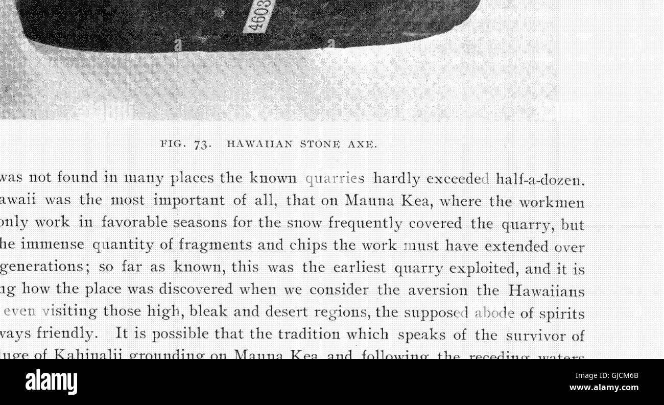 Mémoires de l'Bernice Pauahi Bishop Museum d'histoire naturelle et d'Ethnologie polynésiennes (1899) Banque D'Images