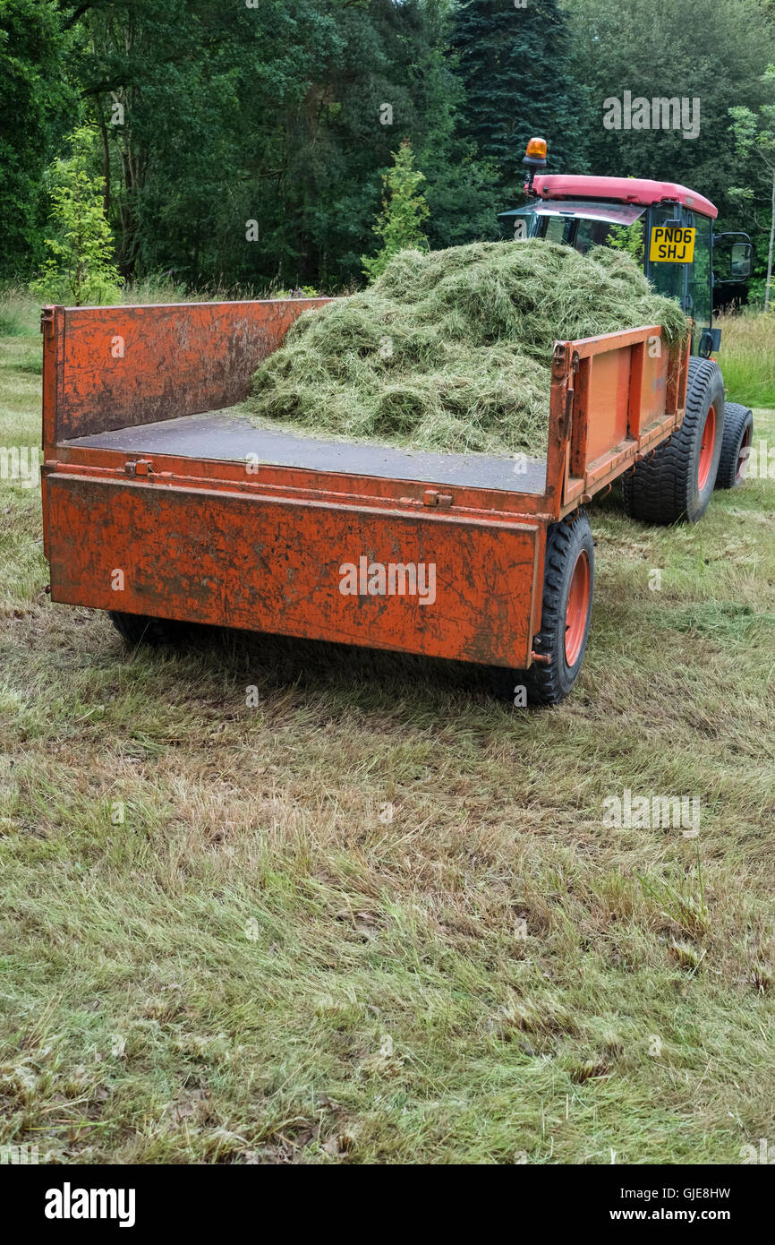 Jardin d'herbe chargée sur une remorque de tracteur. Banque D'Images