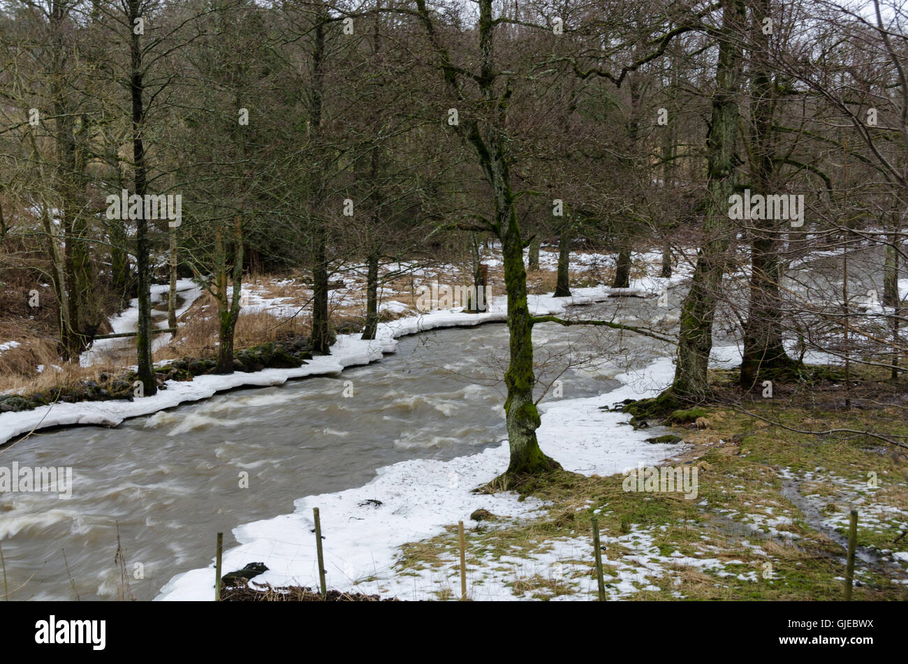 Kungsbacka river avec de l'eau froide un jour gris au début du printemps Banque D'Images