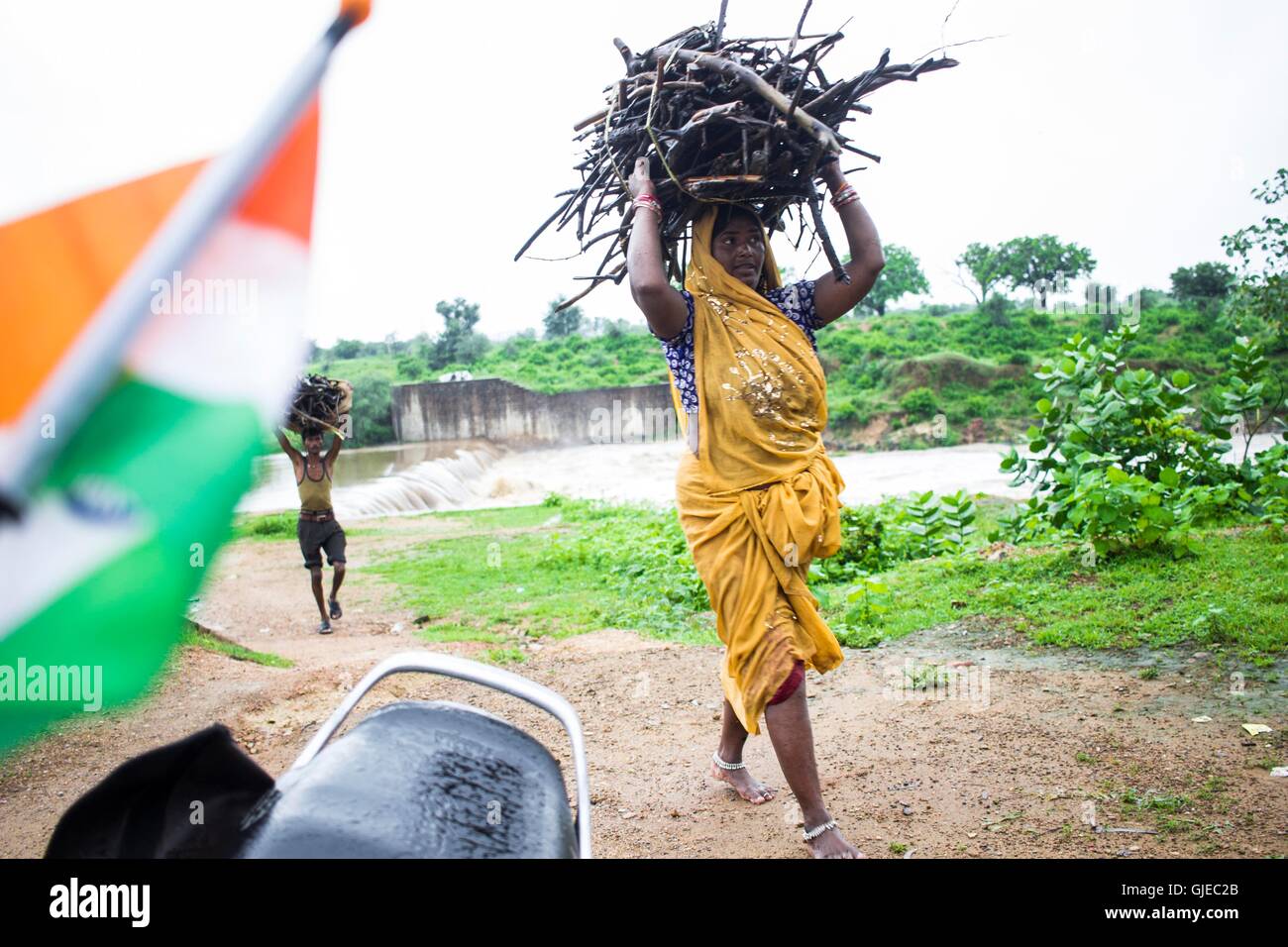 La collecte du bois de chauffage de l'overflooded personnes .la rivière tandis que l'Inde célèbre 70e jour de l'indépendance avec fiull spirit, Premier ministre Narendra Modi aborder sur plusieurs questions, il y a une partie de pays qui n'est pas connu de la politique et le développement comme ils se battent toujours pour la nourriture.Malgré le taux de croissance du PIB est d'environ 9  %, la pauvreté en Inde est toujours omniprésente ; la majorité dans les zones rurales où 70 % des 1,2 milliards d'habitants vivent. C'est l'une des économies les plus dynamiques au monde et pourtant sa richesse n'est pas redistribué dans l'ensemble de la population. (Photo par Akshay Pacifique/Gupta Banque D'Images