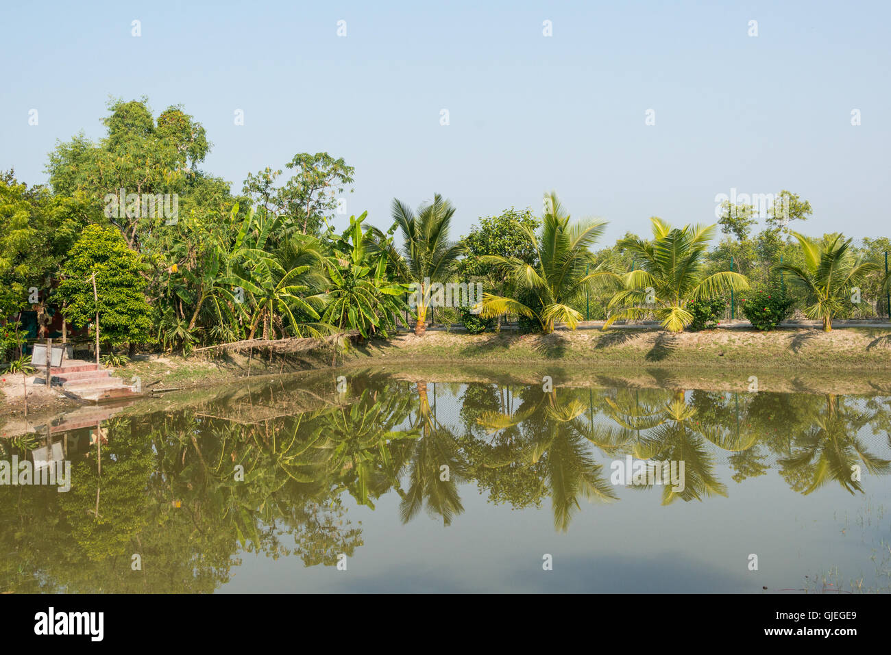 Dobanki camp dans le parc national des Sundarbans, West Bengal, India Banque D'Images