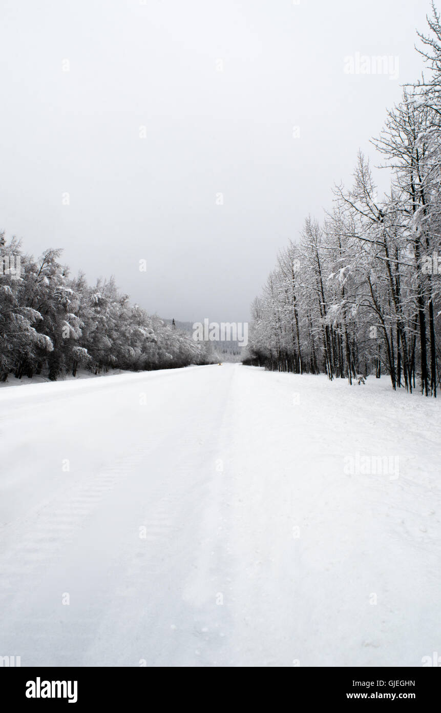 La neige recouvre toutes les terres des parcs l'Autoroute Près de Denali. Banque D'Images