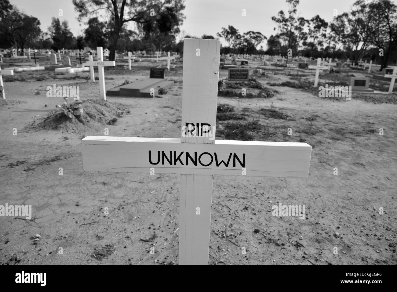 Tombe inconnue à Lightning Ridge marquage cimetière tombe de mineur mort marqué inconnu RIP avec d'autres tombes dans l'arrière-plan Banque D'Images