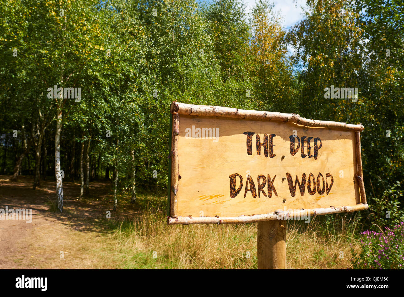 Le bois foncé profond signe à Conkers une attraction à l'intérieur de la Forêt Nationale Moira Derbyshire UK Banque D'Images