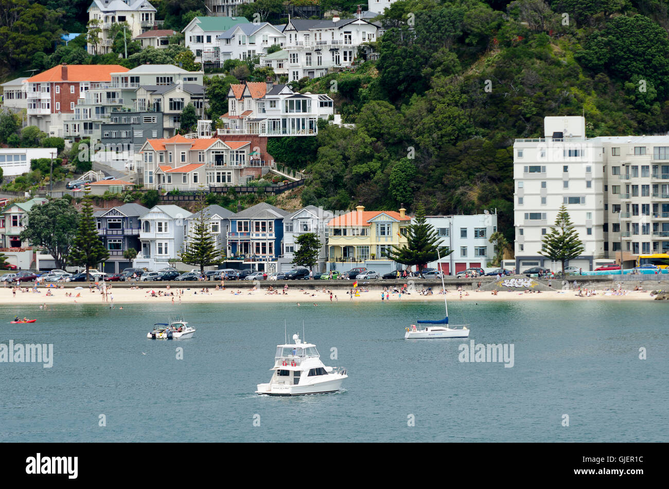 Maisons sur colline au-dessus de plage, Oriental Bay, Wellington, Île du Nord, Nouvelle-Zélande Banque D'Images