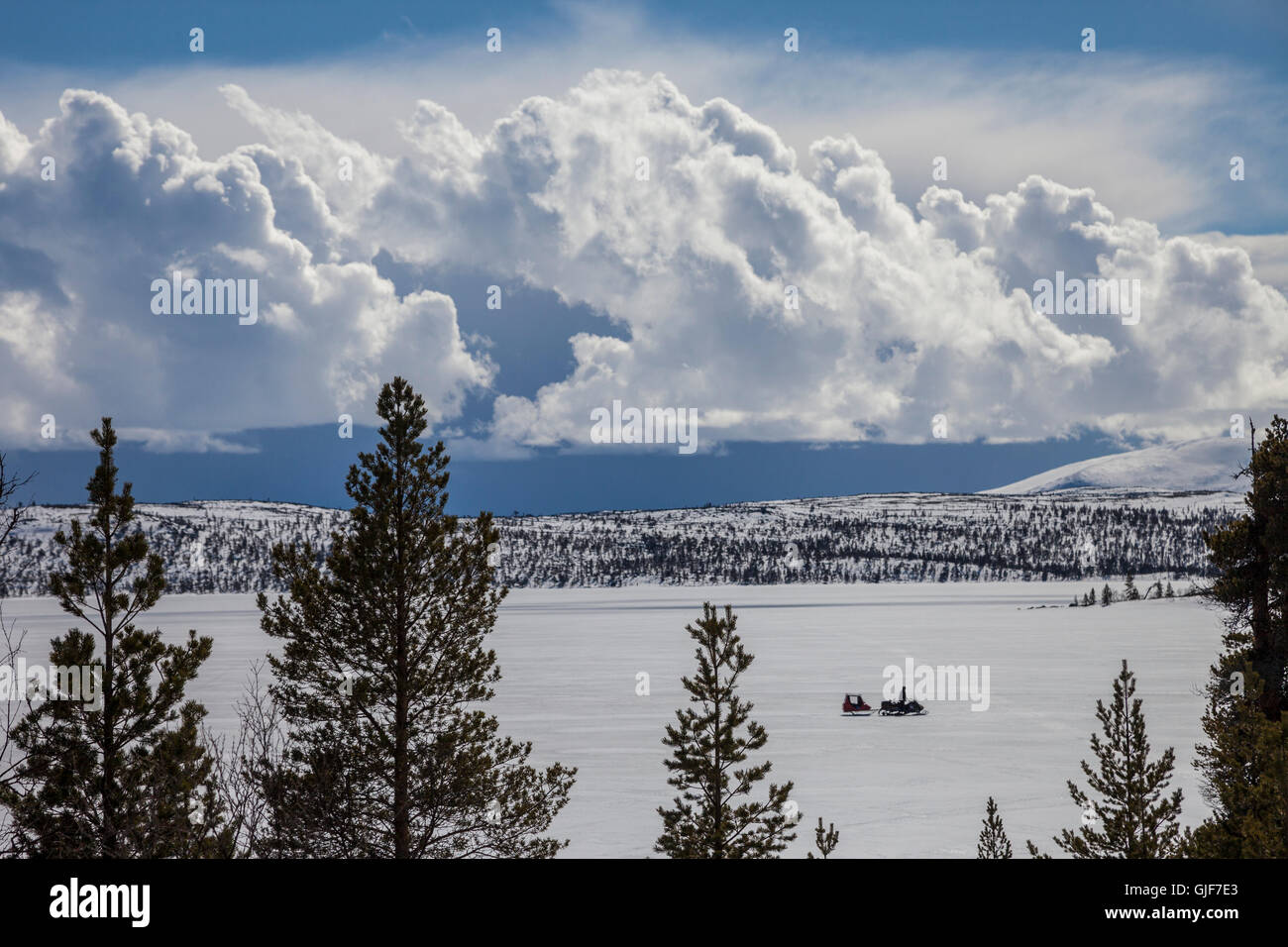 Motoneige sur le lac gelé, le centre de la Suède, Fjalnas/Funasdalen, la Suède, l'Europe. Banque D'Images