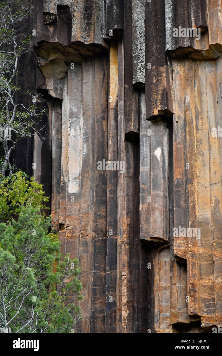 L'orgue-pipe falaise de roches sciés, un rappel du Mont Kaputar passé volcanique, dans le parc national du Mont Kaputar Banque D'Images