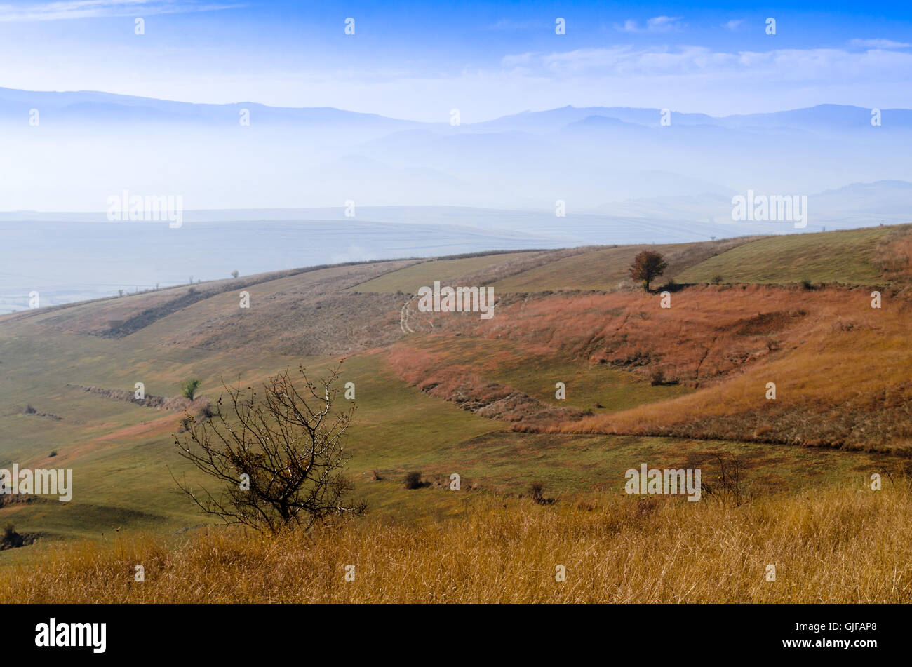 Campagne automne paysage naturel des montagnes collines meadow la Transylvanie, ciel bleu, brouillard Banque D'Images