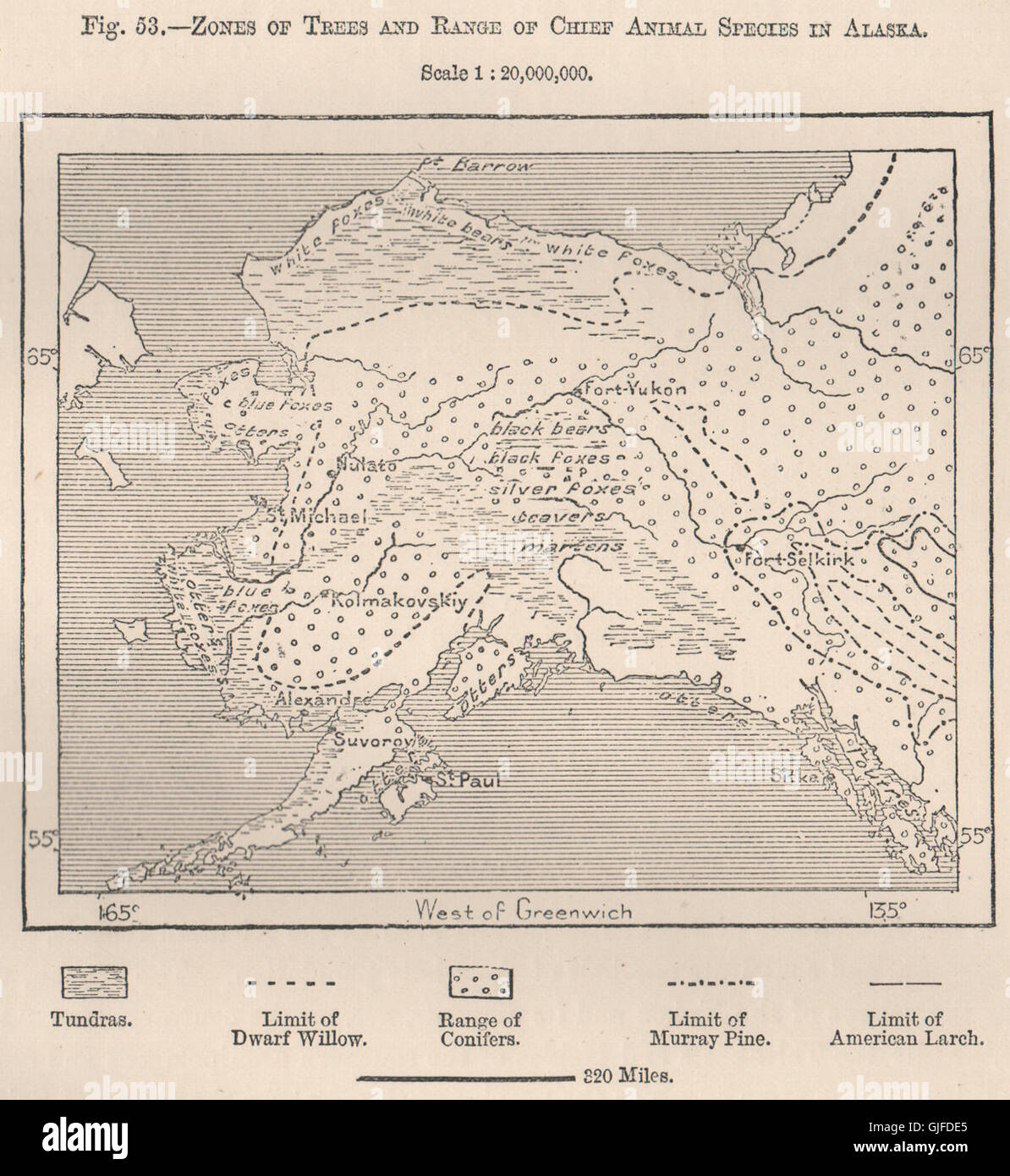 Zones d'arbres et gamme d'espèces animales en chef en Alaska.Porte des renards, 1885 map Banque D'Images
