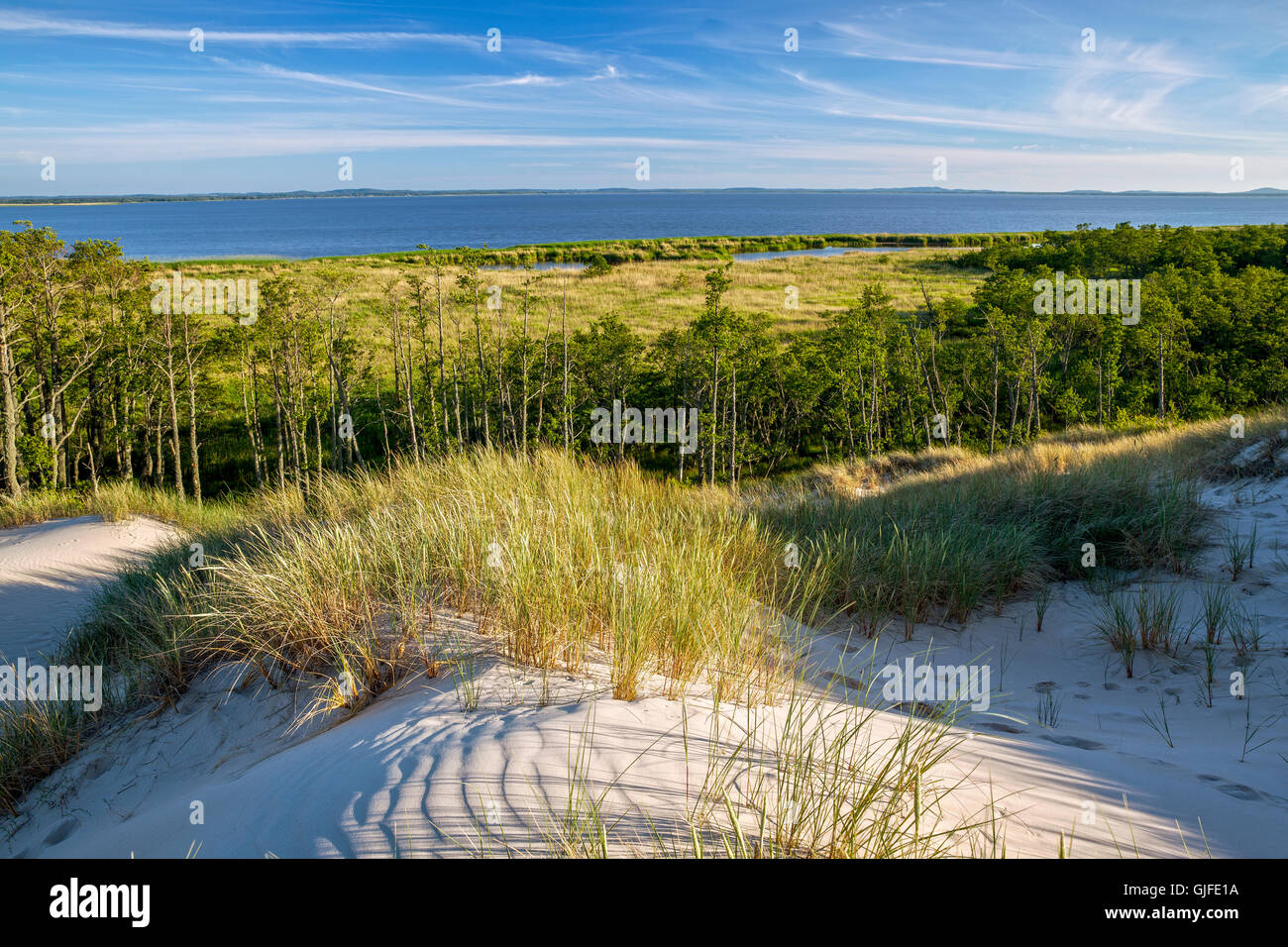 Leba, dunes ameuhsante dans le Parc National Slowinski, lac Lebsko, Poméranie, Pologne. Banque D'Images