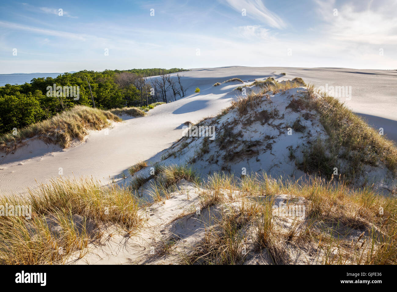 Leba, dunes ameuhsante dans le Parc National Slowinski, lac Lebsko, Poméranie, Pologne. Banque D'Images