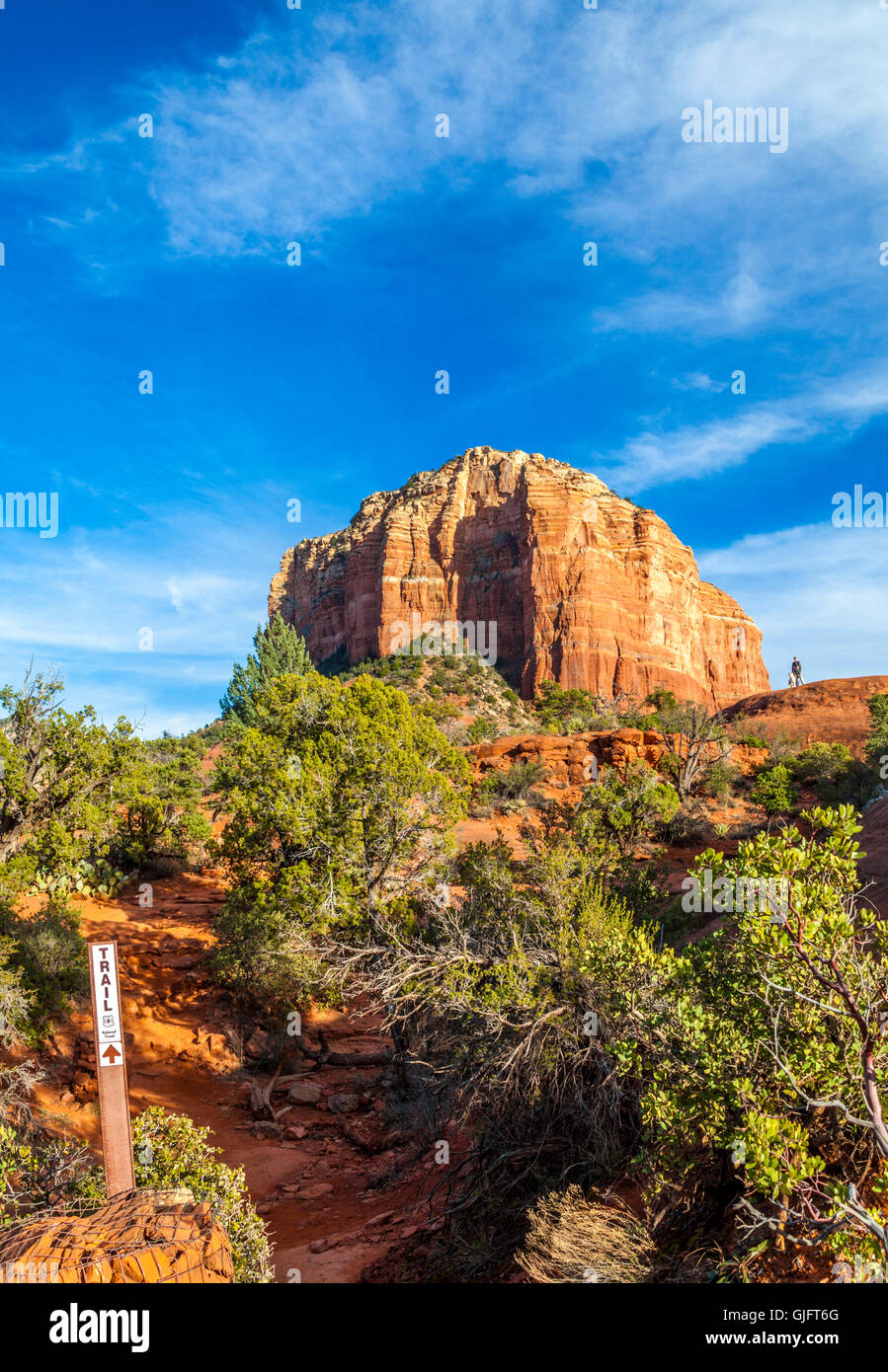 Randonneur et chien à la vue ci-dessous Courthouse Butte atteint par la randonnée le Bell Rock Climb Banque D'Images