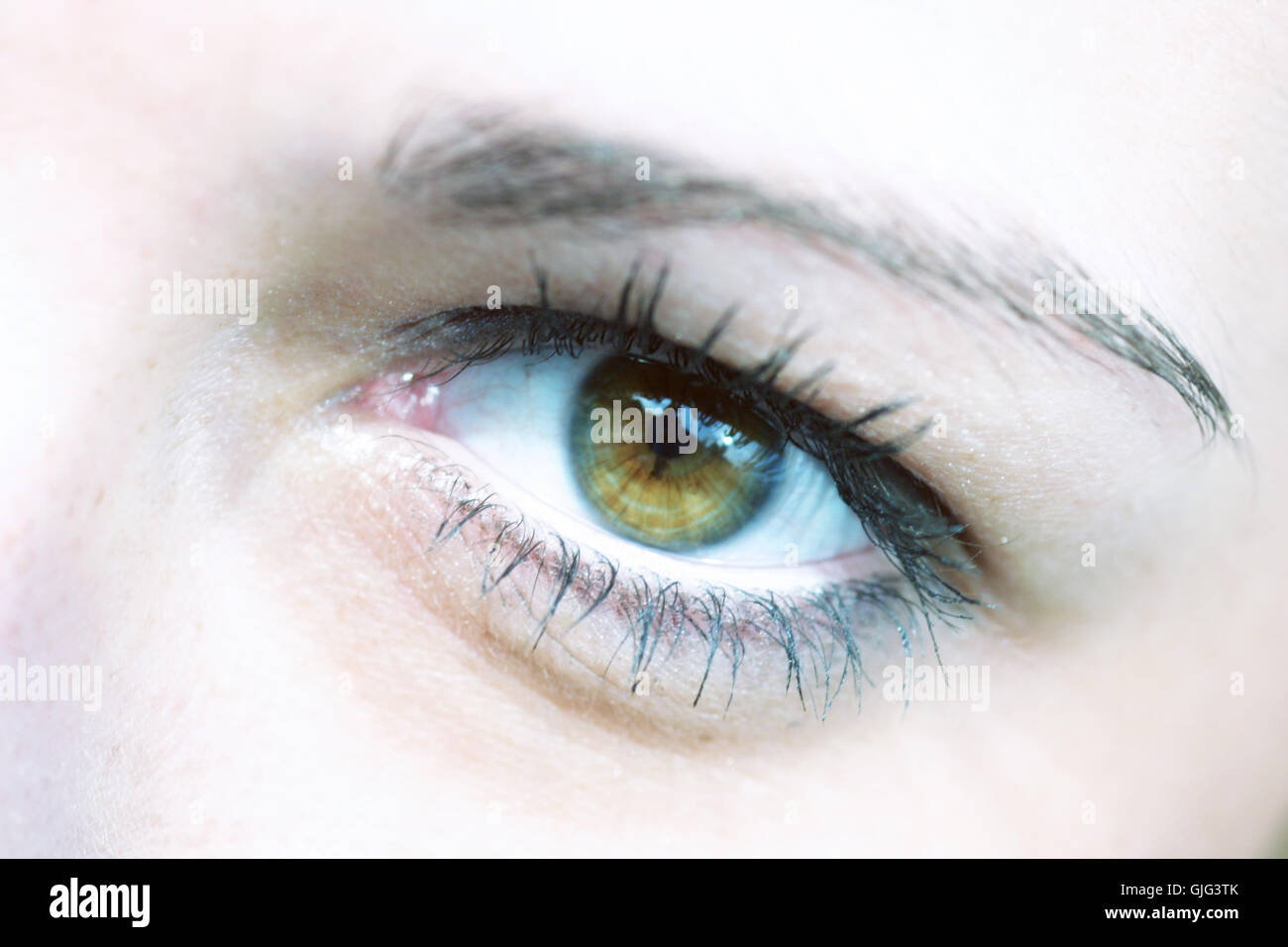 oeil vert organe Banque D'Images
