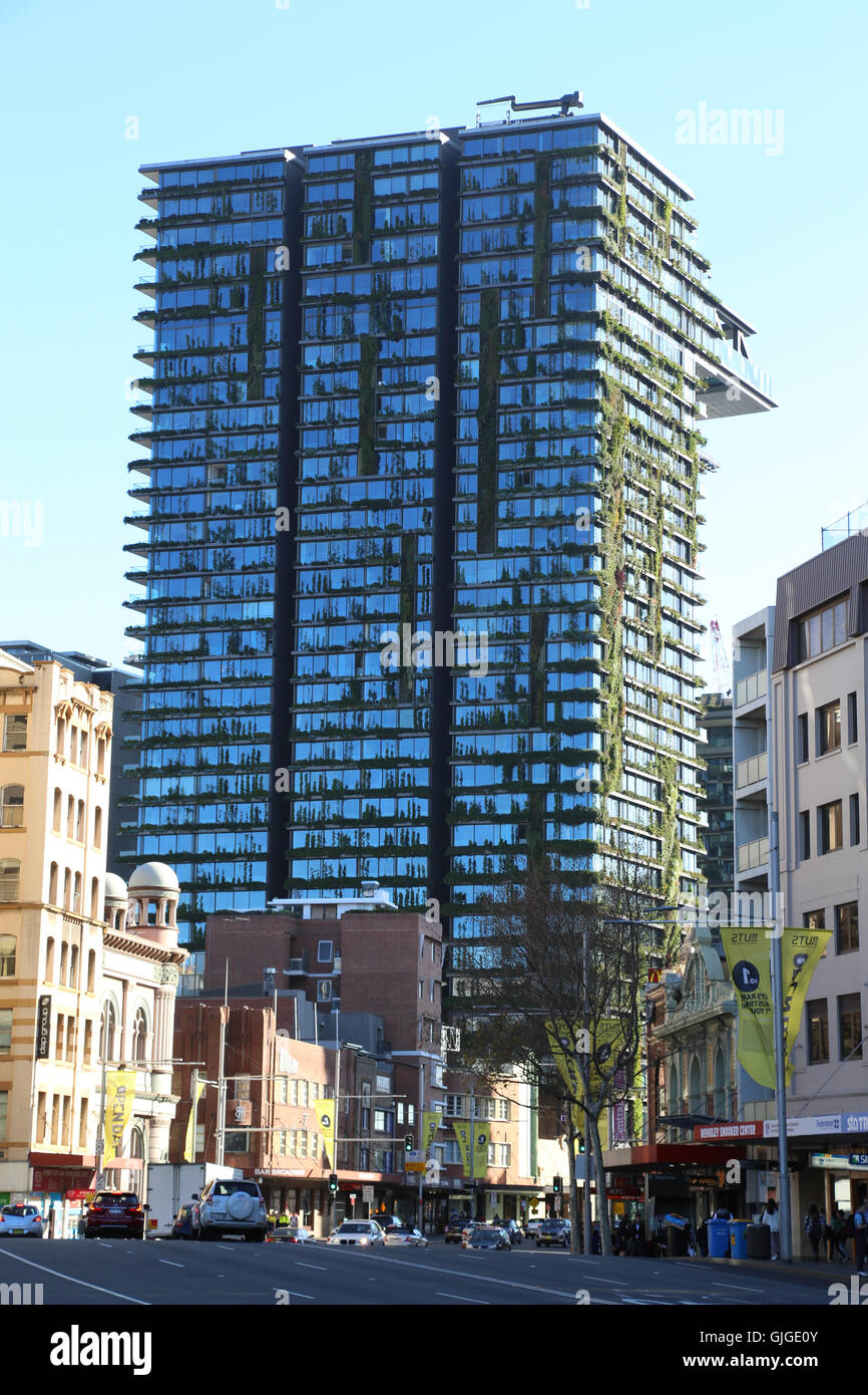 Un Central Park, Sydney. Banque D'Images