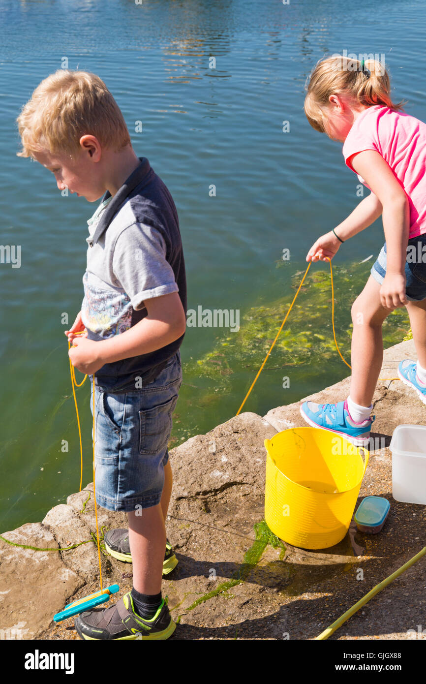 Poole, Dorset, UK. Août 16, 2016. Météo France : les enfants vont en crabe à Poole Quay sur une chaude journée ensoleillée avec soleil ininterrompue Crédit : Carolyn Jenkins/Alamy Live News Banque D'Images