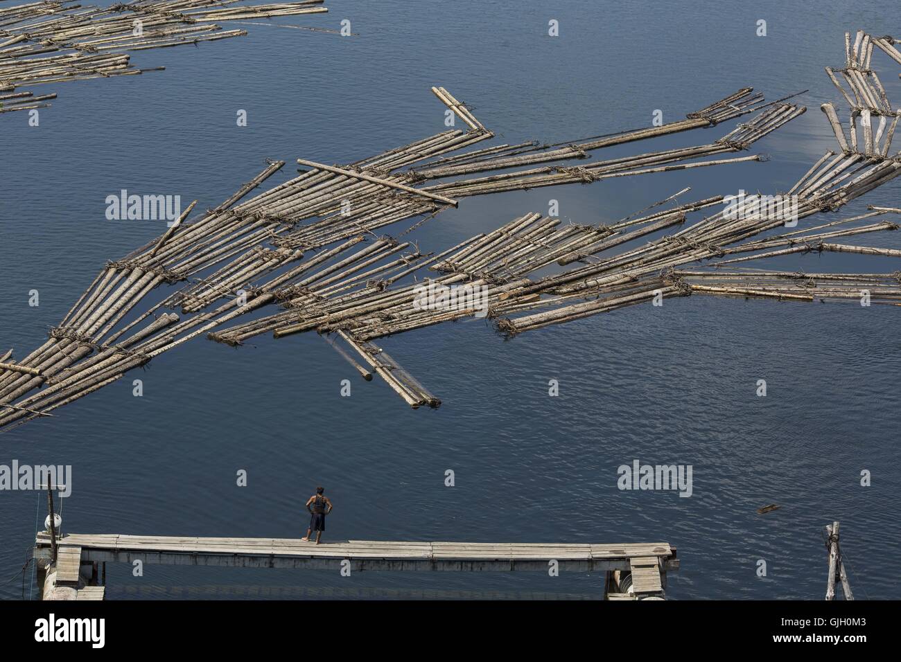 6 août 2016 - Ji'an, Jilin, Chine - Corée du Nord réduire bûcherons sciage au cours supérieur de la rivière Yalu, lié billes ensemble que la natation à la dérive des radeaux et en aval du fleuve Yalu jusqu'au barrage Yunfeng. Les bûcherons vont vivre et manger sur des radeaux, pendant une longue période. La Chine et la Corée du Nord sur 1 420 km de frontière, les rivières et Tumen Yalu, comme la ligne de frontière naturelle, séparer les deux pays. La Chine et la Corée du Nord a été aussi intime que 'les lèvres et les dents''. Kim Jong Un comme étant le chef suprême de la République populaire démocratique de Corée et le manque de clarté de la BOM Banque D'Images