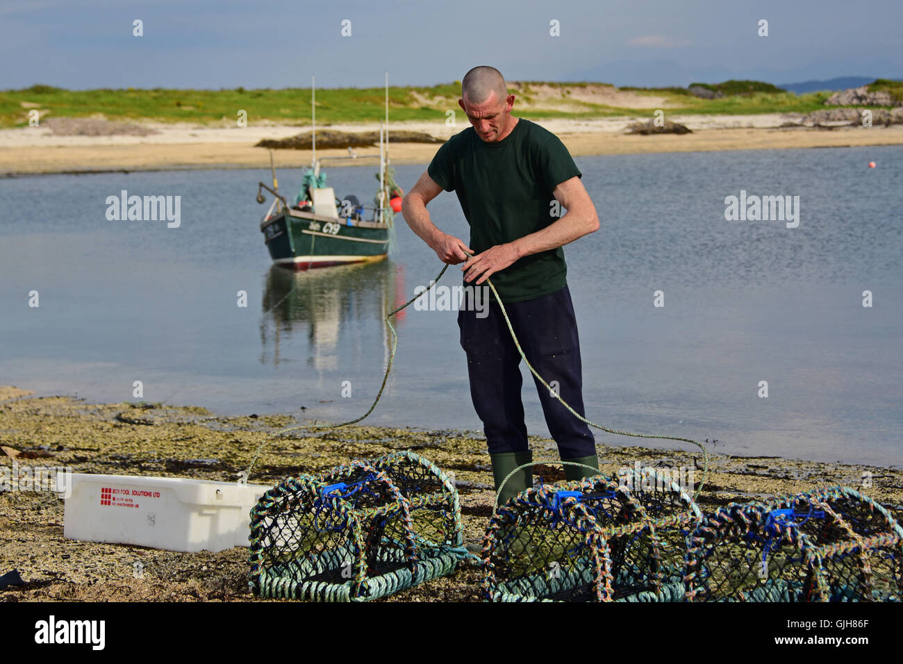 Arisaig, Ecosse, Royaume-Uni, 17, août 2016. Gilliain pêcheur d'Arisaig MacMillan dans les Highlands de l'Ouest, qui se félicite de Brexit dans l'espoir qu'il va mettre fin à la surpêche par des bateaux d'autres pays de l'UE, et que les ventes à l'exportation de ses crabes et homards bénéficient actuellement d'un taux de change favorable. Credit : Ken Jack / Alamy Live News Banque D'Images