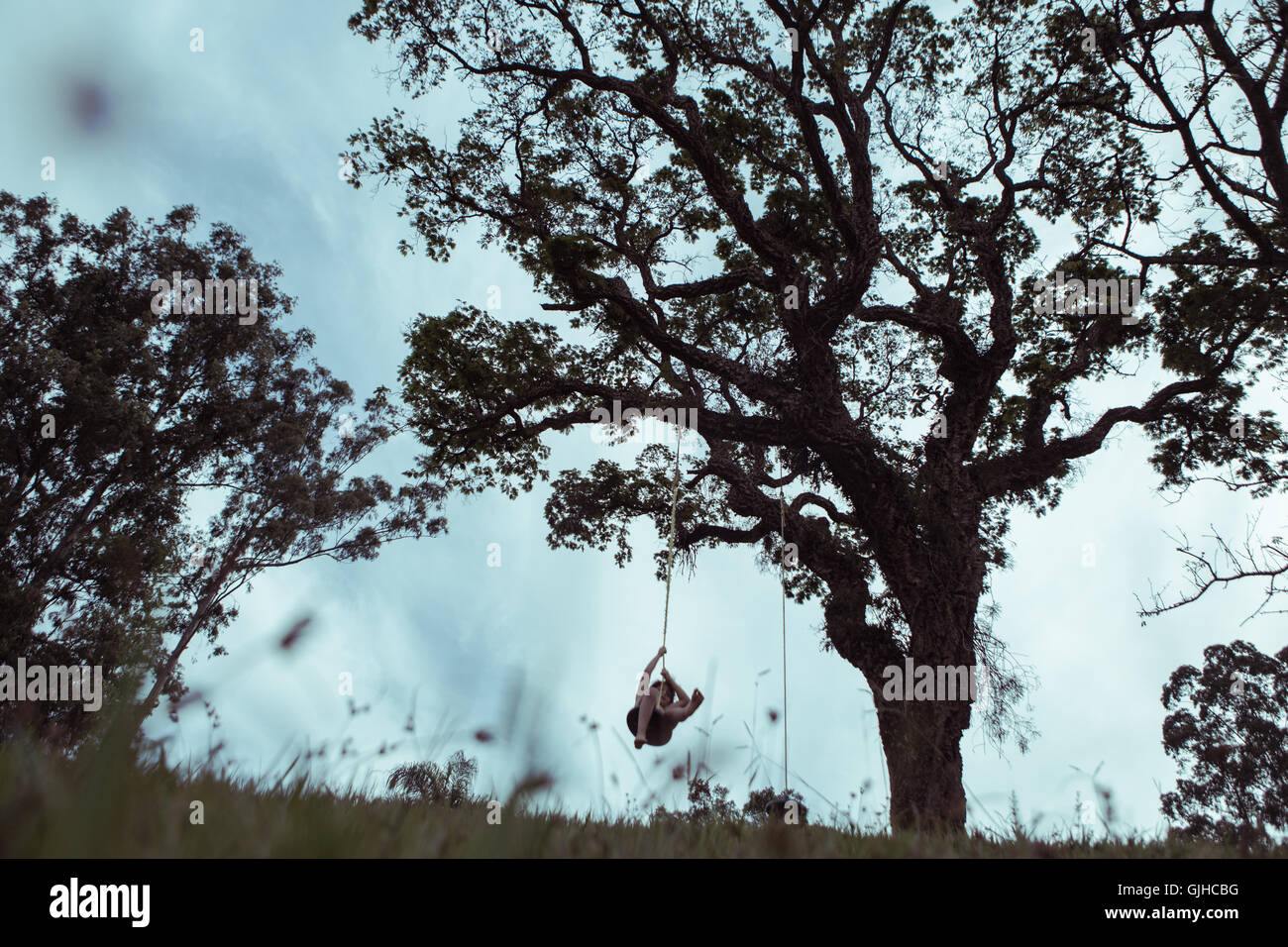 Jeune fille sur une balançoire hanging in tree Banque D'Images