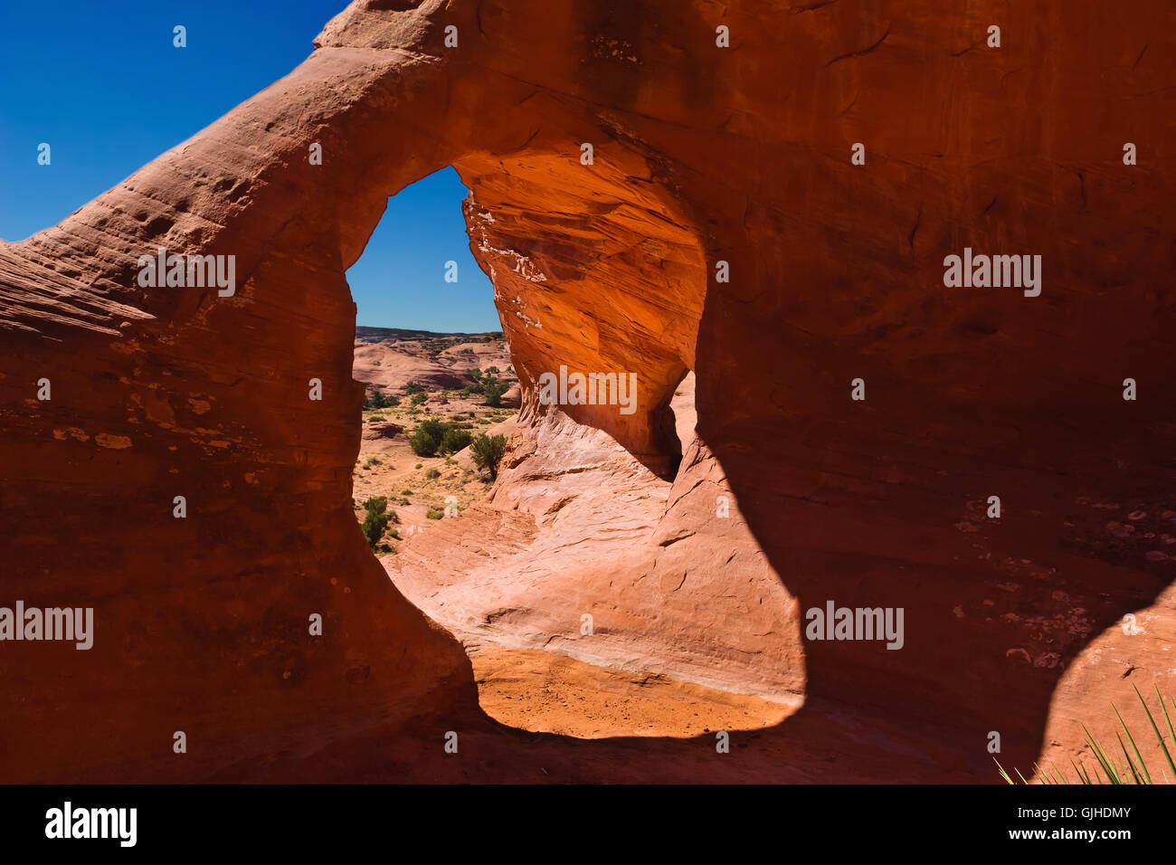 Maison Carrée arch rock formation, vallée de mystère, Arizona, États-Unis d'Amérique Banque D'Images