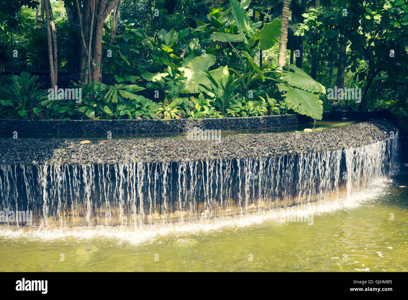 Cascade de l'eau artificiel dans le jardin Botanique de Singapour Banque D'Images