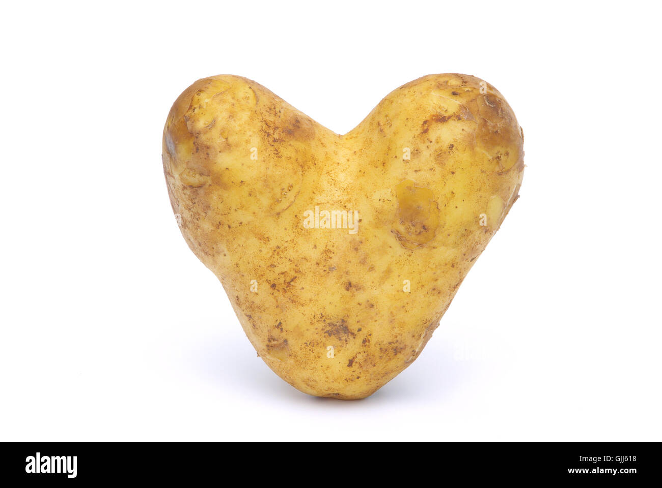 Tubercule de légumes Pommes de terre de semence Banque D'Images