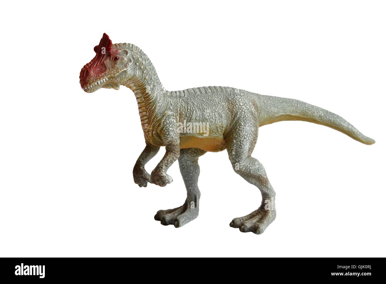 Modèle Modèle photo de dinosaure Banque D'Images