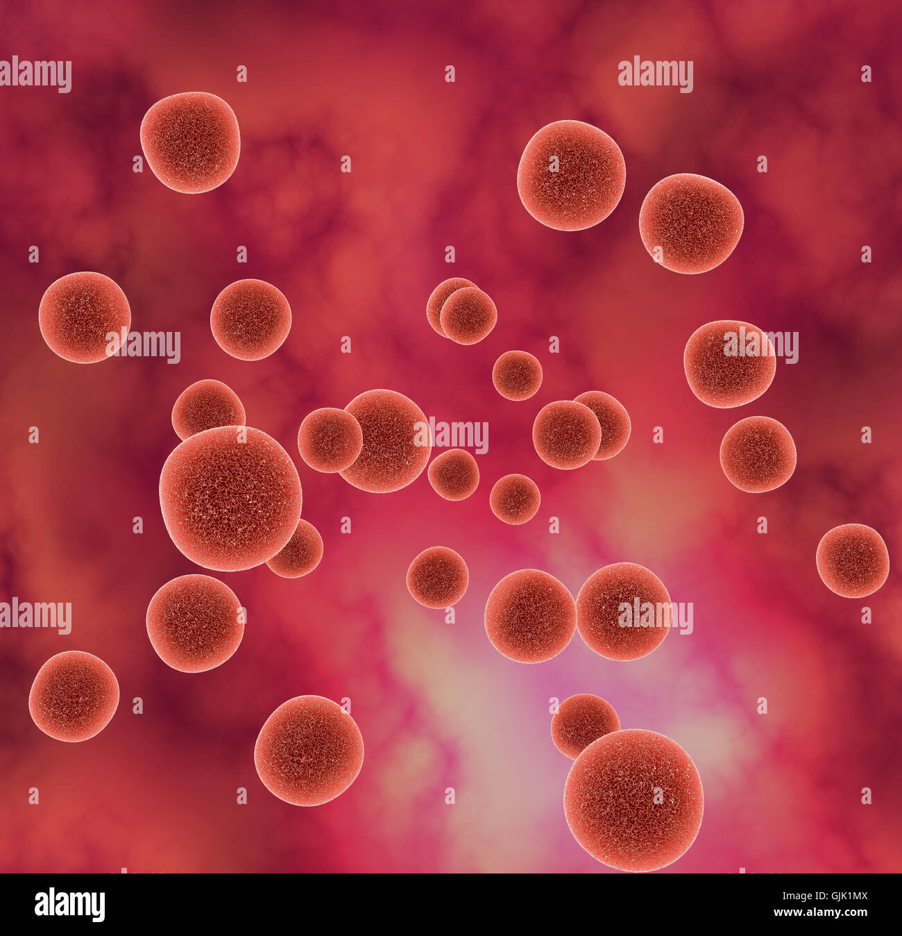virus Banque D'Images