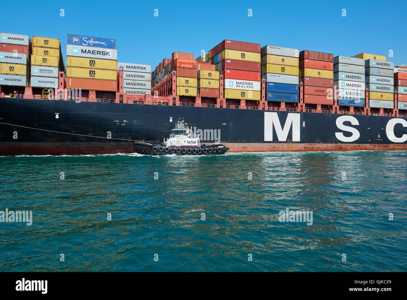 AMNAV remorqueur tracteur géant guidant la Mediterranean Shipping Company, MSC Conteneurs Elodie à son poste à quai dans le Port de Long Beach, Californie, USA. Banque D'Images