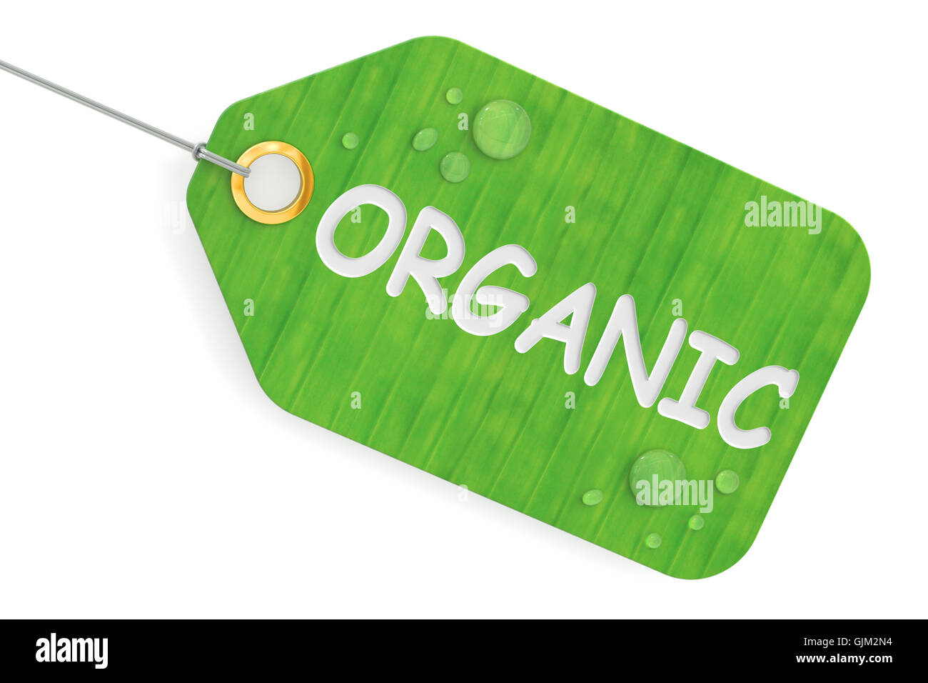 Concept organique, vert tag. Le rendu 3D isolé sur fond blanc Banque D'Images