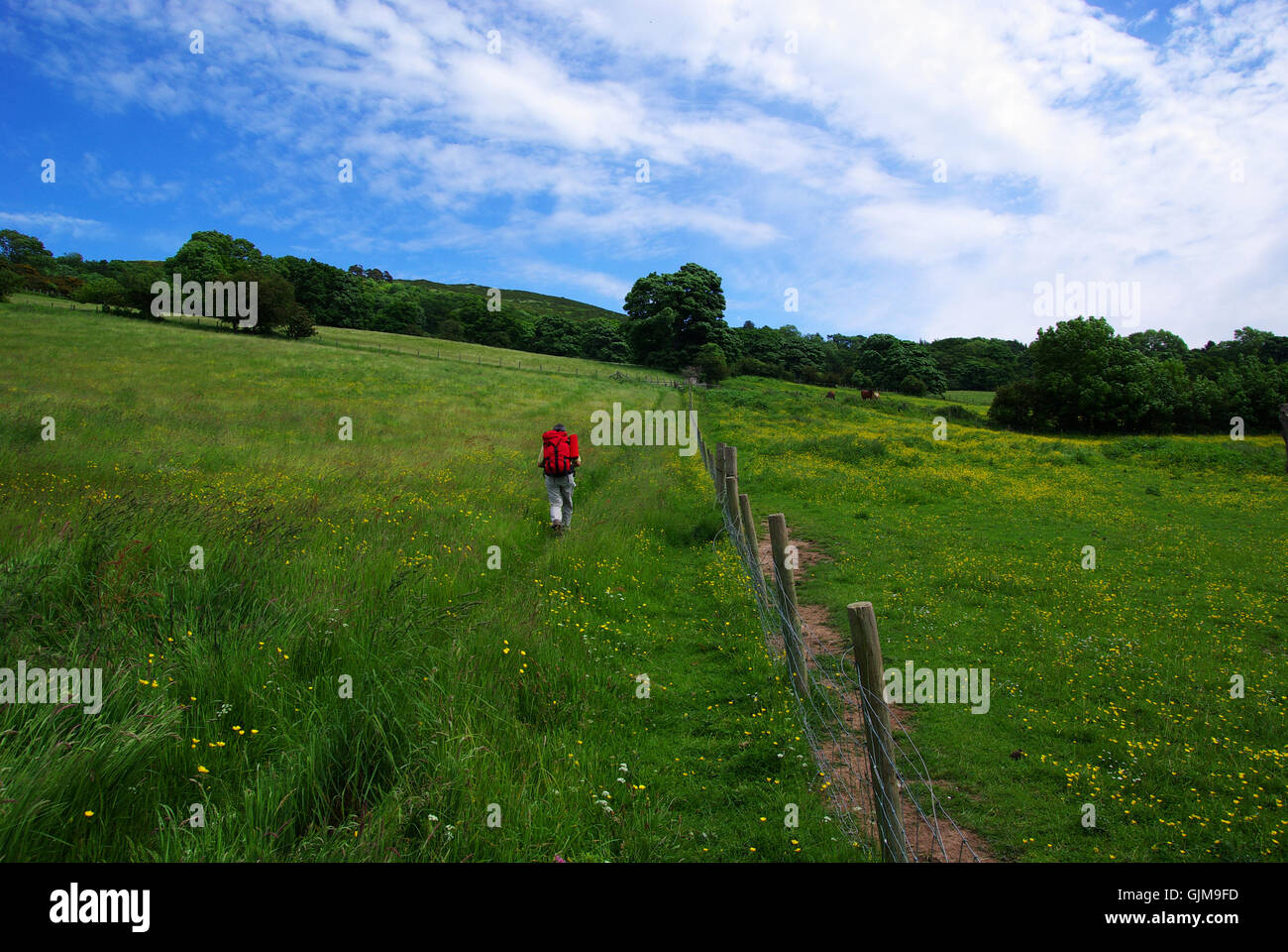 Walker Banque D'Images