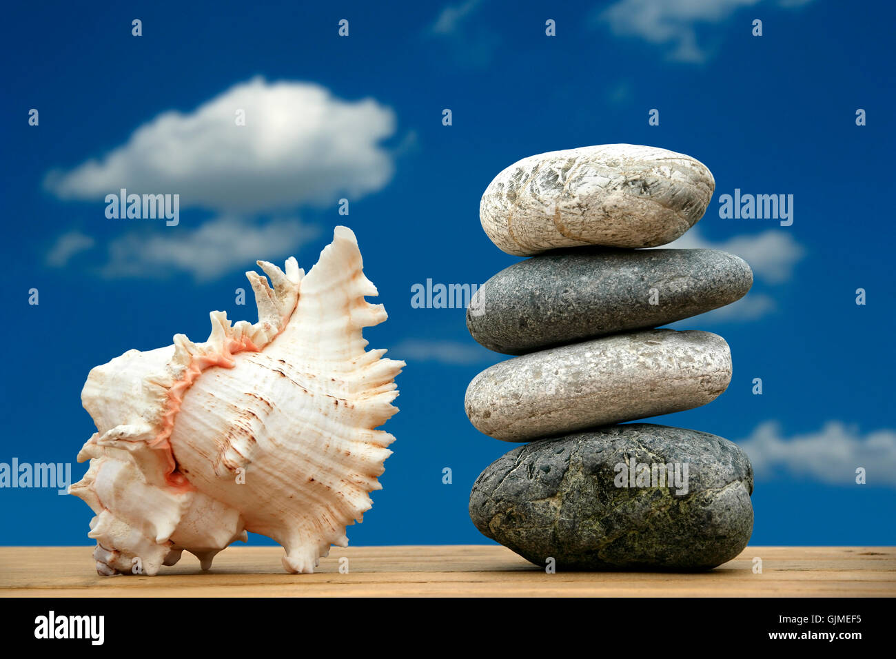 L'équilibre du shell en pierre Banque D'Images