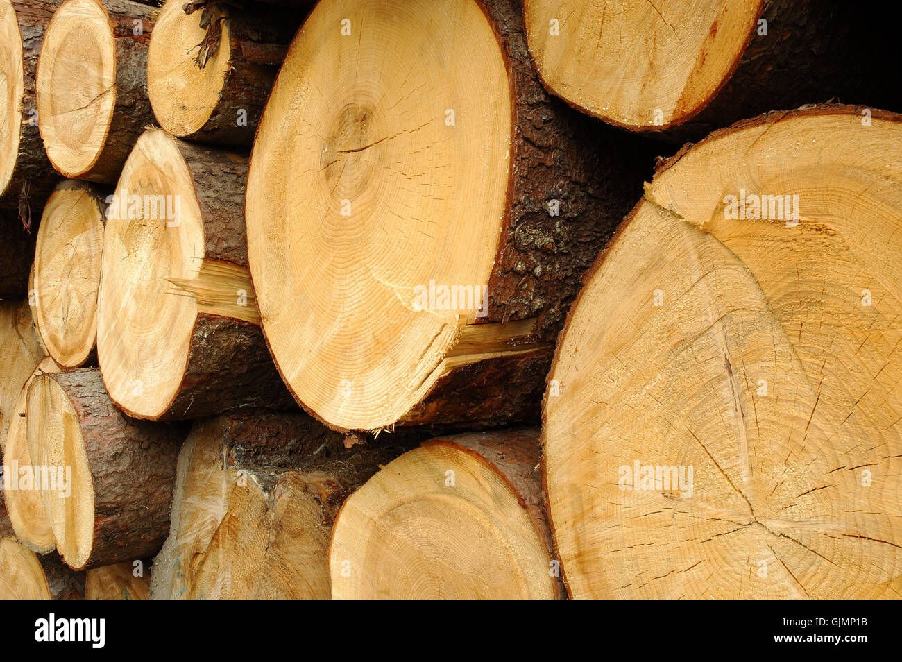 Les magasins bois fermer Banque D'Images