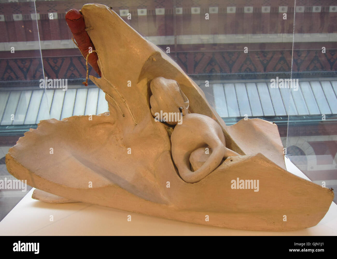 Ces modèles de William Rush, intitulés modèle du labyrinthe de l'oreille interne et modèle de l'os temporal gauche, représentent des études anatomiques détaillées de l'oreille humaine et du crâne. Ils fournissent une compréhension visuelle des structures complexes impliquées dans l'audition et l'équilibre. Banque D'Images