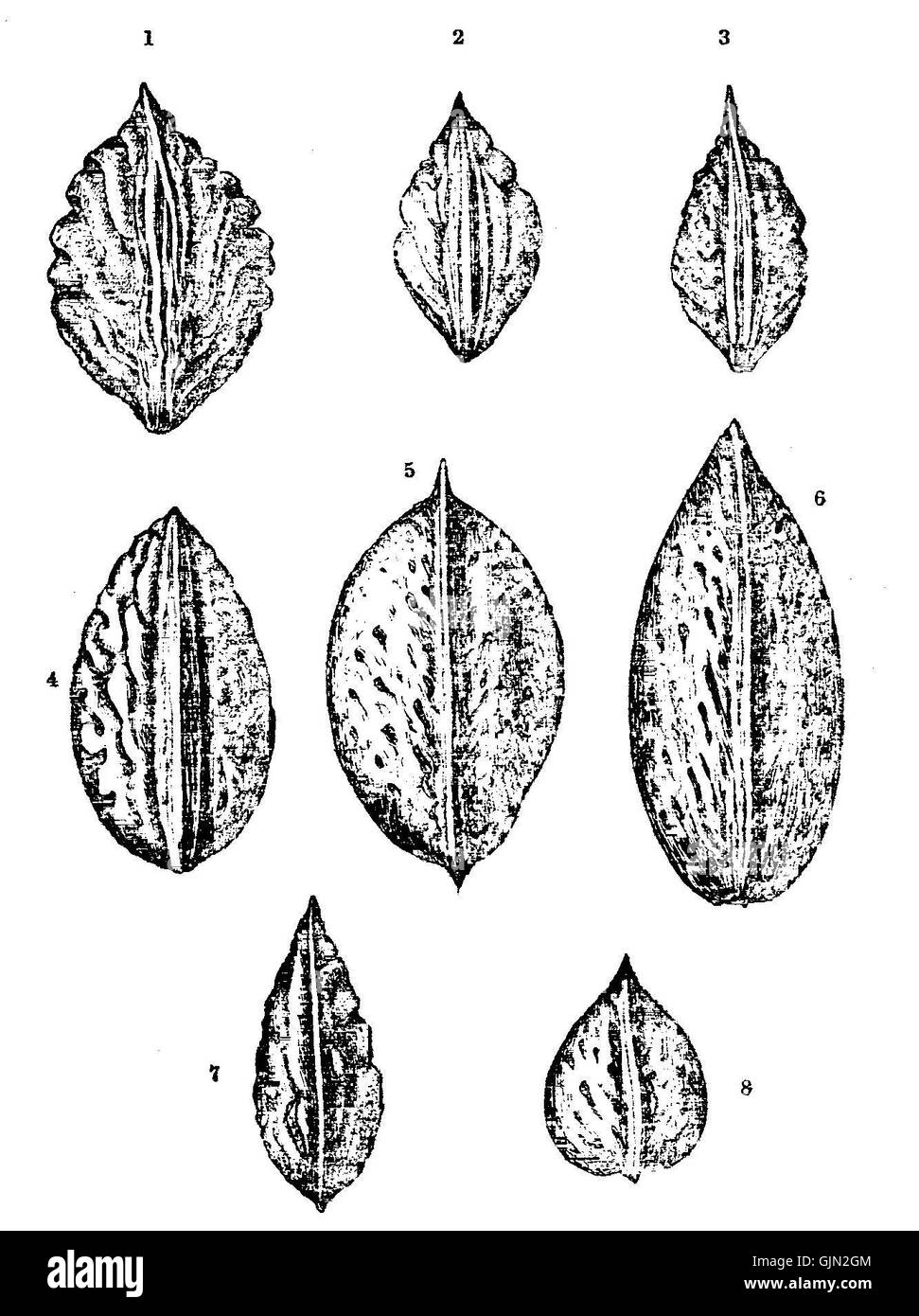 Darwin Domestic 142 fait référence à un itinéraire de vol ou à un service aérien, probablement un vol domestique au départ de Darwin, en Australie. Il met en lumière un aspect important de l'aviation régionale en Australie. Banque D'Images