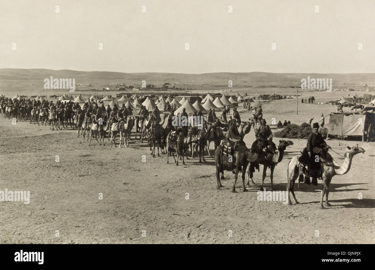 Cette image historique capture le Camel corps, une unité militaire importante de l'armée britannique pendant la première Guerre mondiale, lors de la bataille de Beersheba en 1917, soulignant leur rôle dans le conflit. Banque D'Images