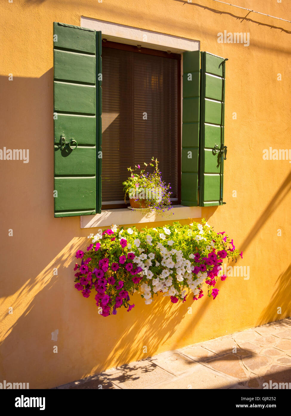 Maison jaune avec volets de fenêtre en bois vert et boîte de fenêtre à fleurs sur l'île de Burano. Venise. Banque D'Images