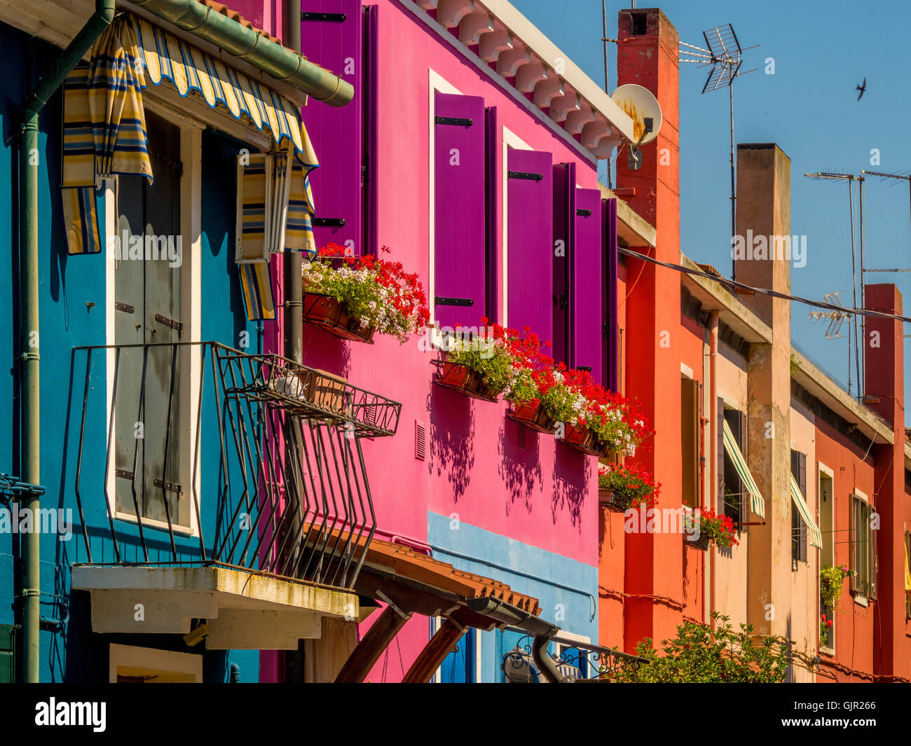 La terrasse traditionnelle colorée en bord de canalside maisons sur l'île de Burano. Venise, Italie. Banque D'Images
