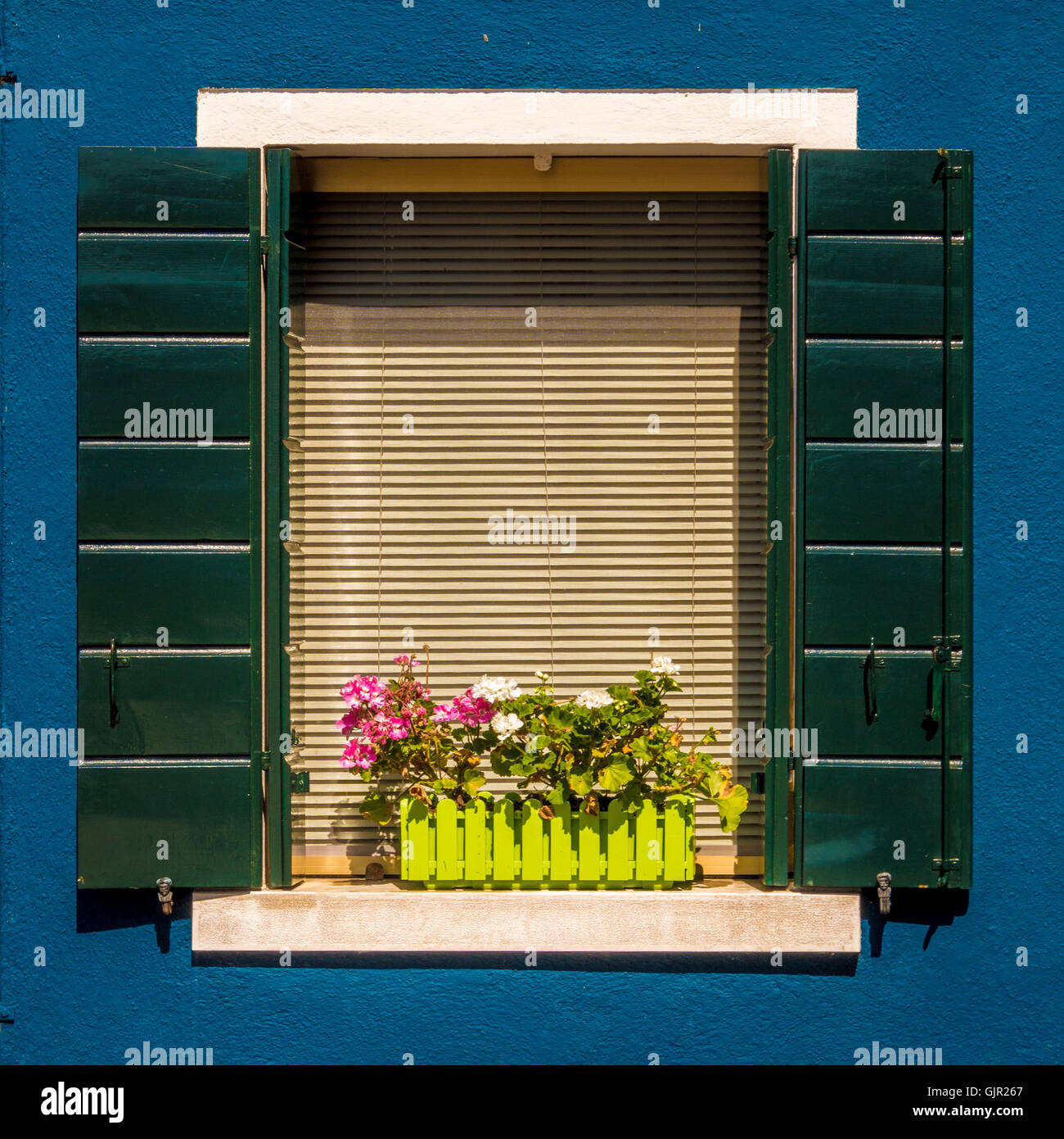 Volets de fenêtre partiellement ouverts vert foncé sur un mur extérieur bleu foncé de maison traditionnelle sur l'île de Burano. Italie. Banque D'Images
