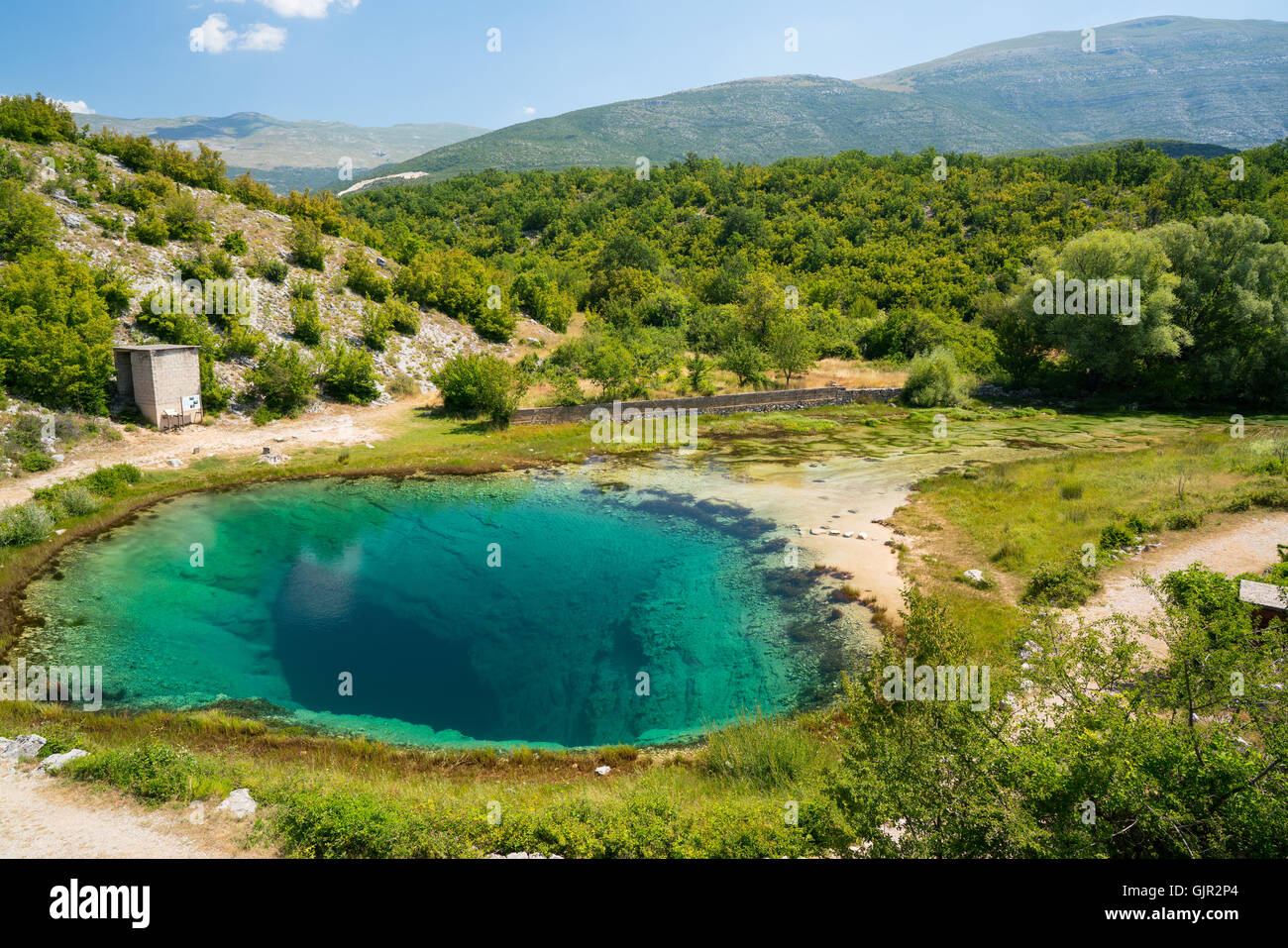 Source de l'eau printemps Cetina en Croatie Banque D'Images