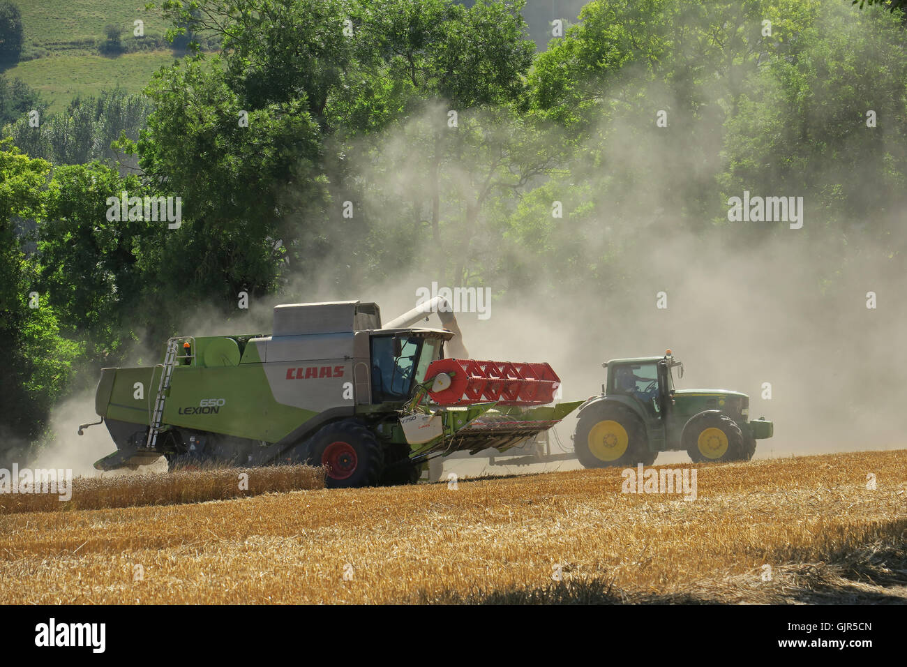 La récolte de blé près de Aldbourne dans Wiltshire durant une longue période ensoleillée. UK Banque D'Images