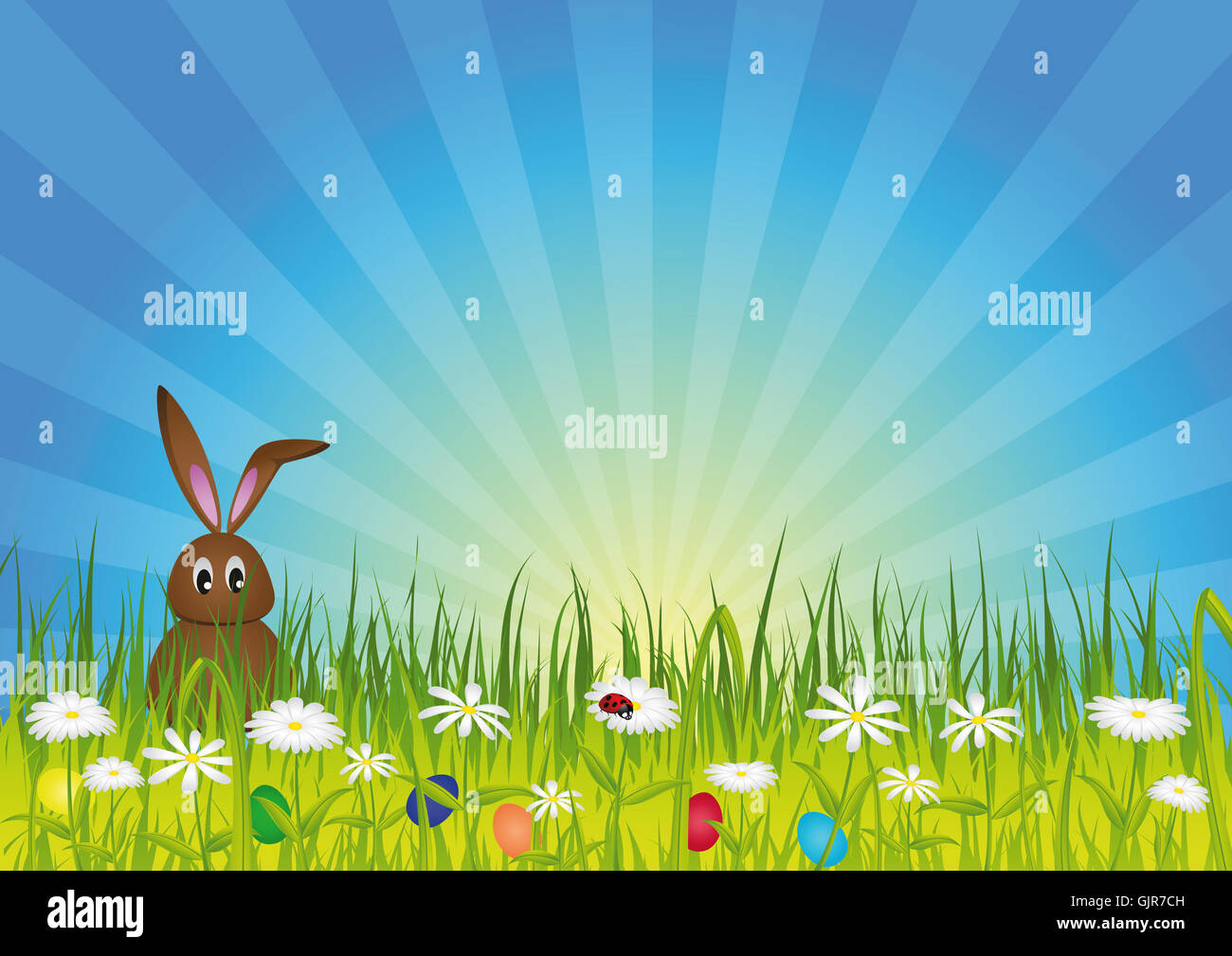 Plante fleur fleurs Banque D'Images