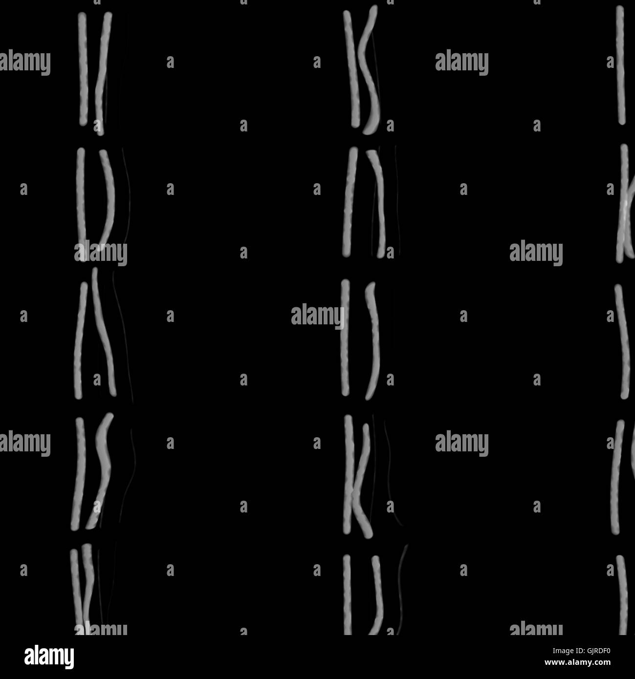 chromosomes Banque D'Images