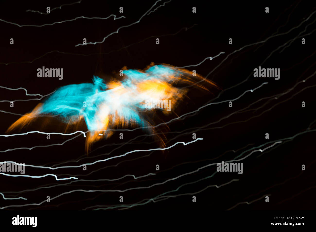 Image lumineuse, trouble d'un oiseau turquoise et orange sur fond noir et blanc clignote Banque D'Images