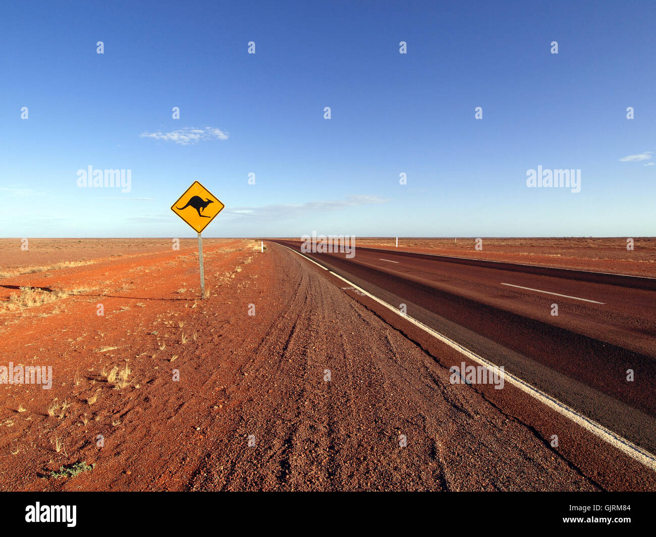 Inscrivez-kangourou le long de la route de l'Australie Banque D'Images