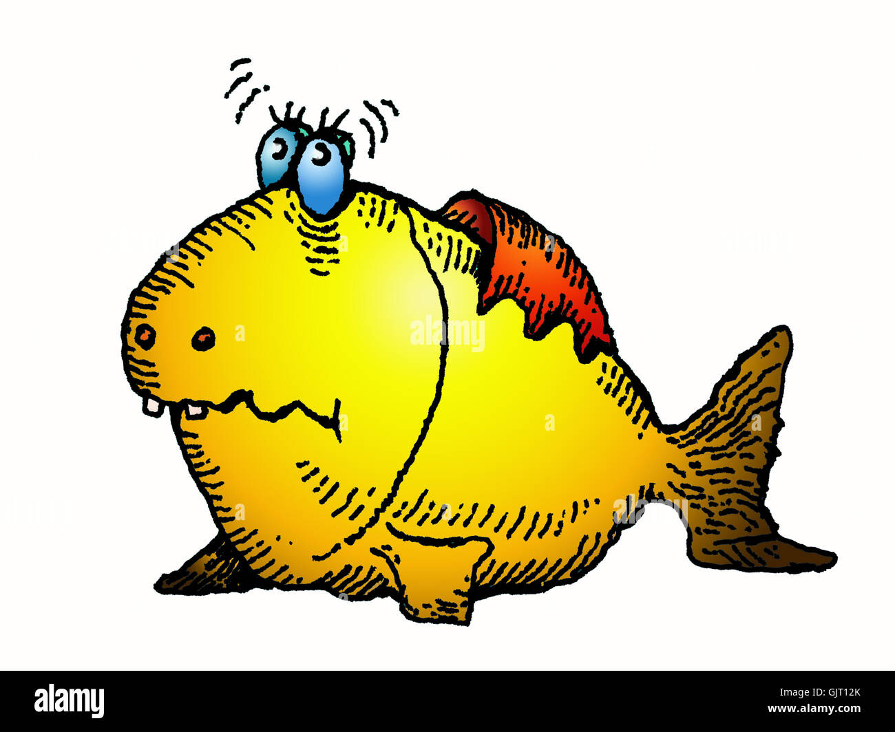 dentexes 4 Banque D'Images