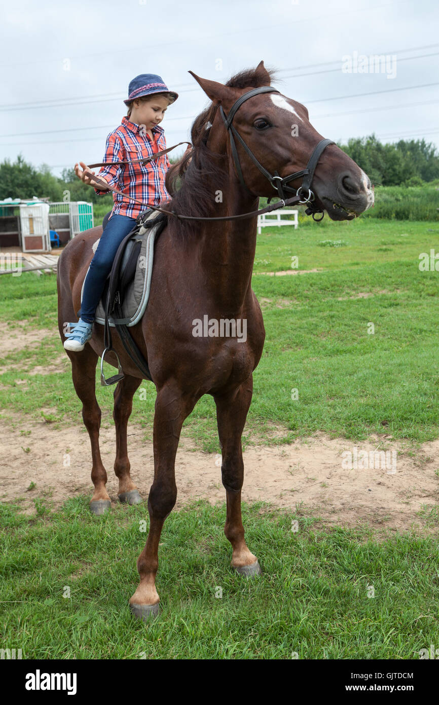 Petite fille de la campagne tente de contrôler le cheval à l'aide d'une bride Banque D'Images