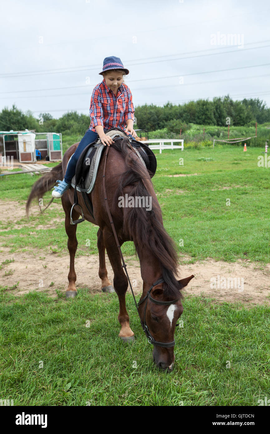 Jolie fille à cheval sur un cheval brun, l'herbe verte d'alimentation Banque D'Images