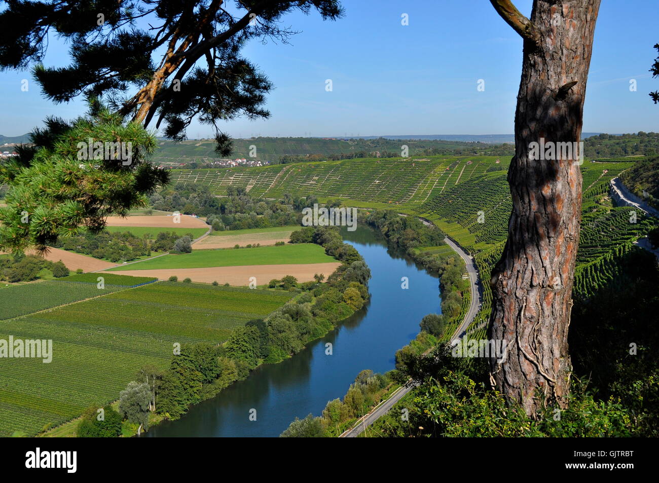 Vue depuis besigheimer felsengarten Banque D'Images