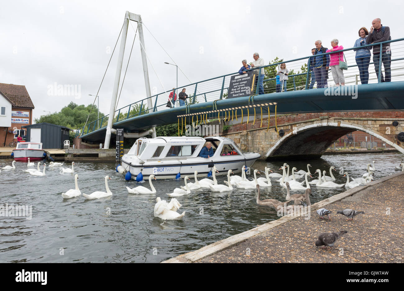 Un bateau de plaisance passe sous les badauds se trouvait sur un pont routier, tandis qu'un troupeau de cygnes se rassemblent à la rivière, Wroxham, Norfolk. Banque D'Images