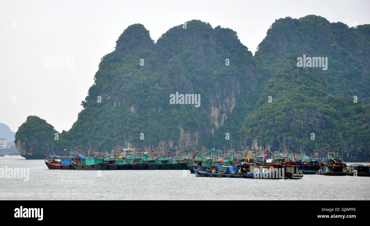 Hanoi. Août 18, 2016. Photo prise le 18 août 2016 montre d' bateaux de pêche au port afin de mettre à l'abri de Dianmu tempête dans la province de Quang Ninh, Vietnam du Nord. Le Vietnam est en vue de la prochaine tempête tropicale Dianmu, la troisième trouver le pays jusqu'à présent cette année. La tempête est dit à affecter directement le nord et le centre du Vietnam, les zones côtières du nord de la province de Quang Ninh à Nghe An province centrale, vendredi matin, a indiqué le Centre national pour les Forecastings Hydro-Meteorological jeudi. Source : Xinhua/VNA/Alamy Live News Banque D'Images